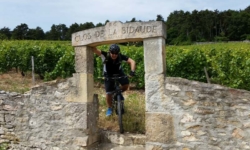découverte des vignobles de bourgogne à vélo